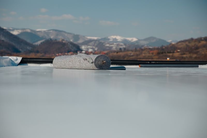 Thermoplastic Roof Service